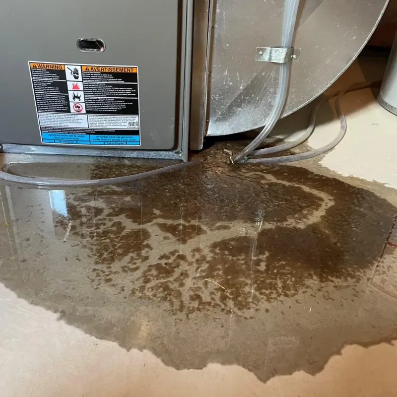 Appliance Leak Cleanup in Pound Ridge, NY